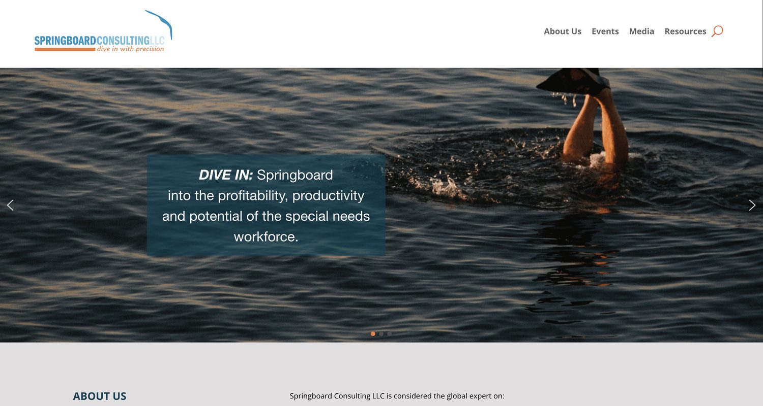 Springboard Consulting website screenshot